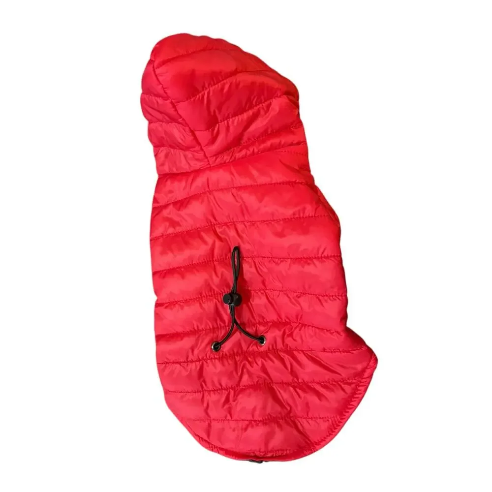 Small Dog Jacket for Winter Size Medium